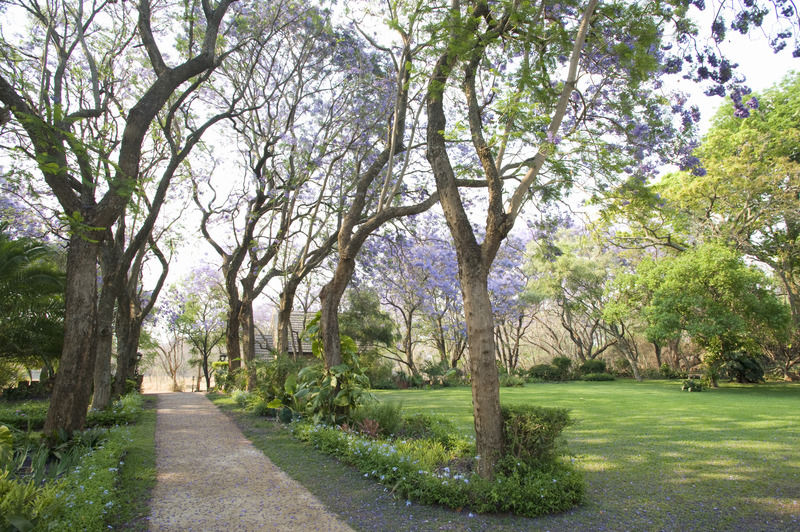 Nesbitt Castle Ξενοδοχείο Bulawayo Εξωτερικό φωτογραφία